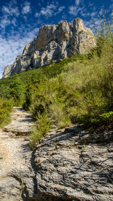 Download wallpaper 2160x3840 path, bushes, rock samsung galaxy s4, s5, note, sony xperia z, z1, z2, z3, htc one, lenovo vibe hd background