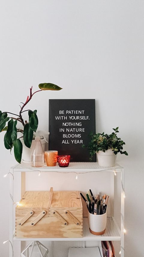 Download wallpaper 2160x3840 patience, inscription, wisdom, plants, aesthetics samsung galaxy s4, s5, note, sony xperia z, z1, z2, z3, htc one, lenovo vibe hd background
