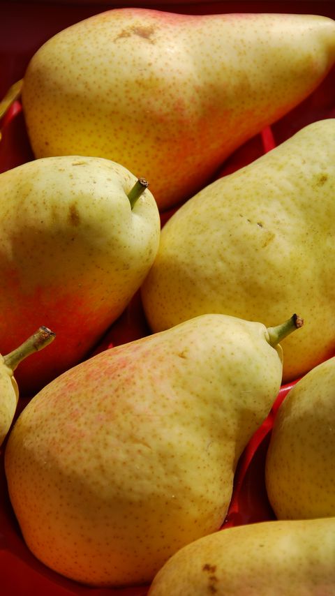 Download wallpaper 2160x3840 pears, fruit, food samsung galaxy s4, s5, note, sony xperia z, z1, z2, z3, htc one, lenovo vibe hd background