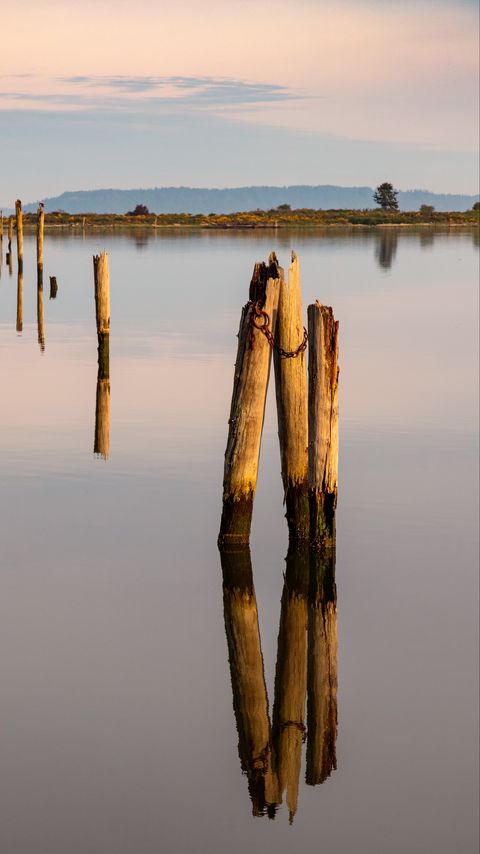 Download wallpaper 2160x3840 pilings, wood, river, reflection samsung galaxy s4, s5, note, sony xperia z, z1, z2, z3, htc one, lenovo vibe hd background