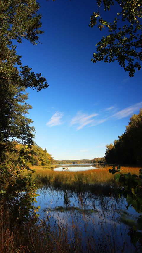Download wallpaper 2160x3840 pond, grass, trees, landscape samsung galaxy s4, s5, note, sony xperia z, z1, z2, z3, htc one, lenovo vibe hd background