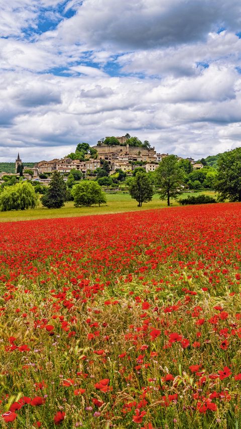 Download wallpaper 2160x3840 poppies, flowers, field, trees, buildings samsung galaxy s4, s5, note, sony xperia z, z1, z2, z3, htc one, lenovo vibe hd background
