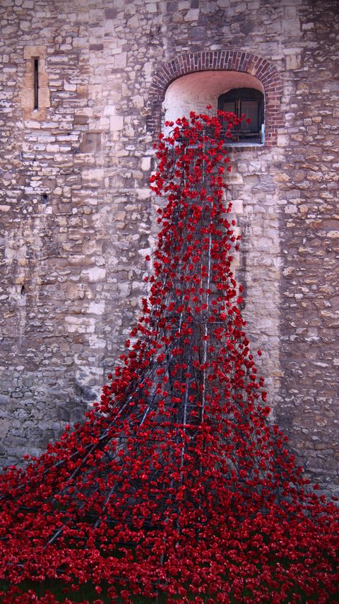 Download wallpaper 2160x3840 poppies, flowers, window samsung galaxy s4, s5, note, sony xperia z, z1, z2, z3, htc one, lenovo vibe hd background