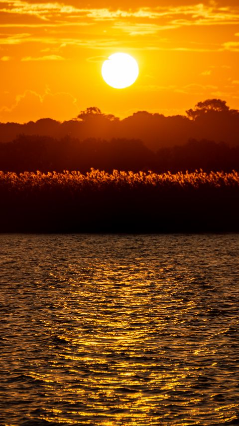 Download wallpaper 2160x3840 river, grass, dark, sunset samsung galaxy s4, s5, note, sony xperia z, z1, z2, z3, htc one, lenovo vibe hd background