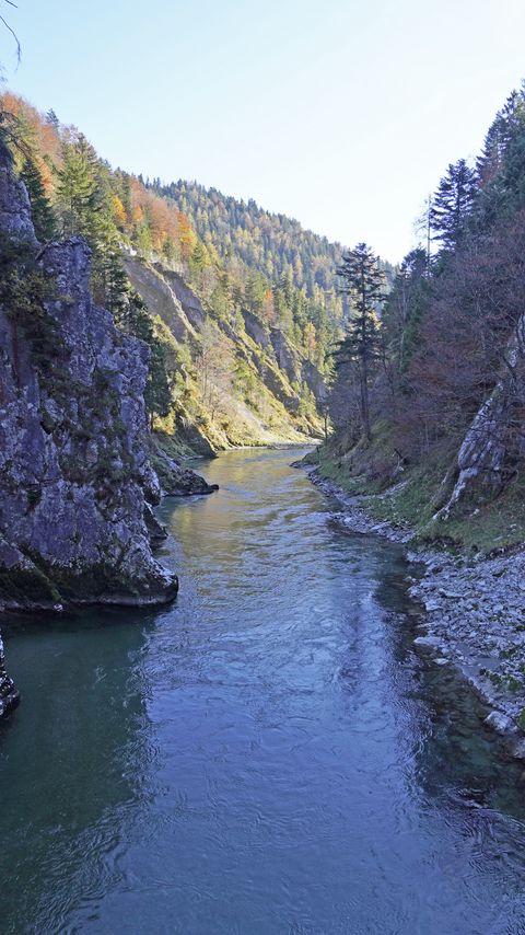 Download wallpaper 2160x3840 river, rocks, forest samsung galaxy s4, s5, note, sony xperia z, z1, z2, z3, htc one, lenovo vibe hd background