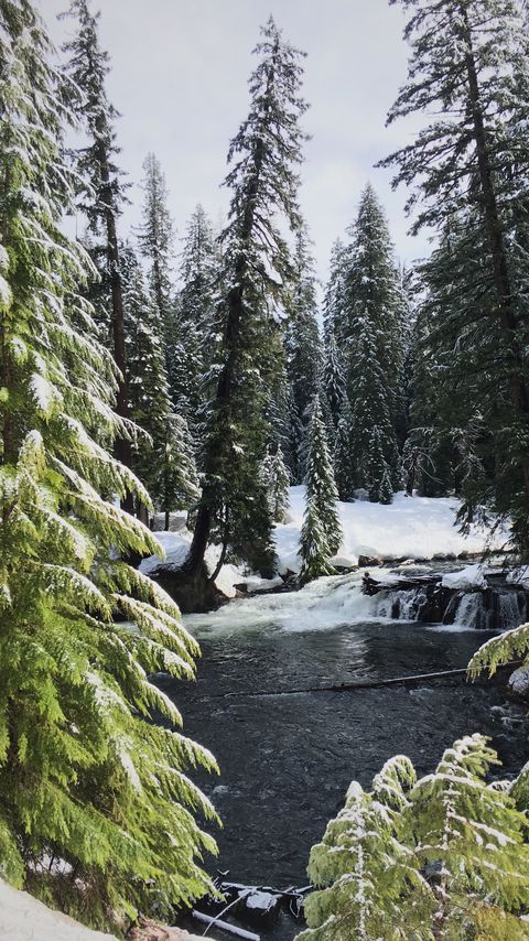 Download wallpaper 2160x3840 river, spruces, snow, winter samsung galaxy s4, s5, note, sony xperia z, z1, z2, z3, htc one, lenovo vibe hd background