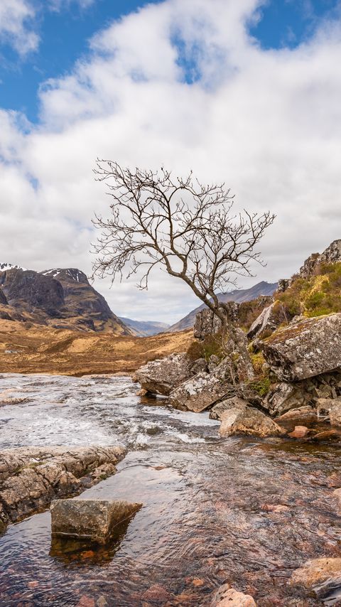 Download wallpaper 2160x3840 river, stones, tree, mountains samsung galaxy s4, s5, note, sony xperia z, z1, z2, z3, htc one, lenovo vibe hd background