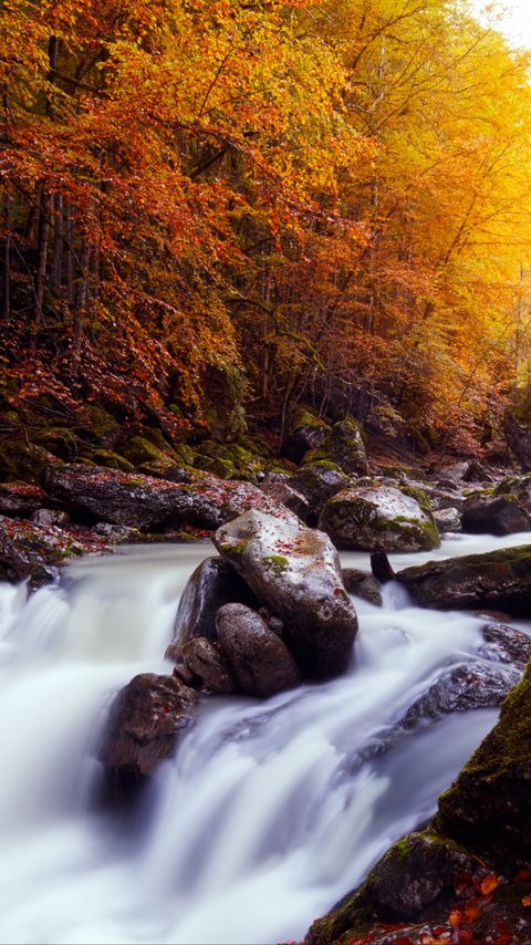 Download wallpaper 2160x3840 river, stones, trees, autumn samsung galaxy s4, s5, note, sony xperia z, z1, z2, z3, htc one, lenovo vibe hd background