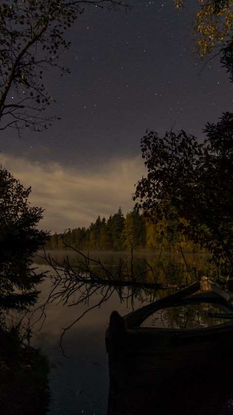 Download wallpaper 2160x3840 river, trees, branch, dry, night, nature samsung galaxy s4, s5, note, sony xperia z, z1, z2, z3, htc one, lenovo vibe hd background