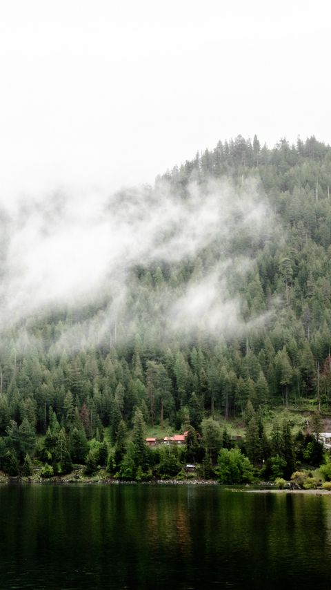 Download wallpaper 2160x3840 river, trees, fog, landscape samsung galaxy s4, s5, note, sony xperia z, z1, z2, z3, htc one, lenovo vibe hd background