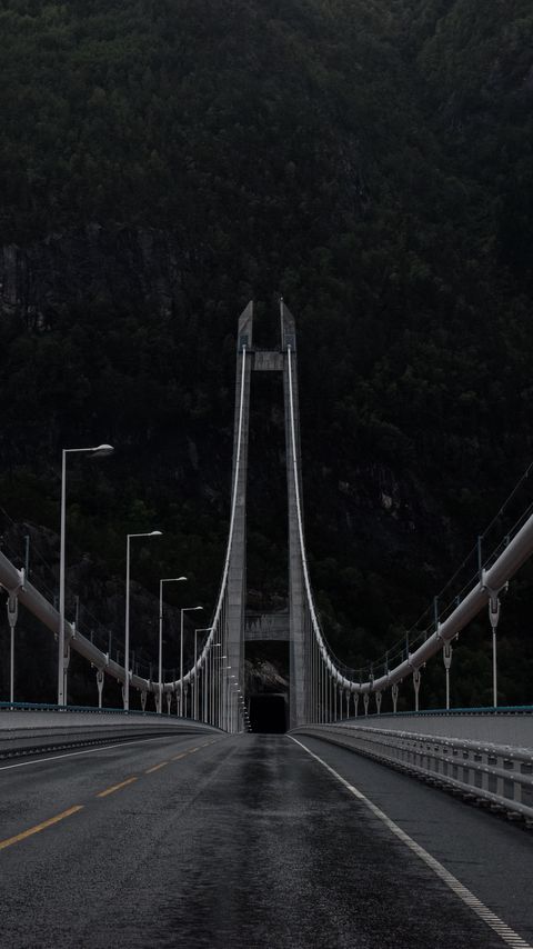 Download wallpaper 2160x3840 road, bridge, tunnel, trees samsung galaxy s4, s5, note, sony xperia z, z1, z2, z3, htc one, lenovo vibe hd background