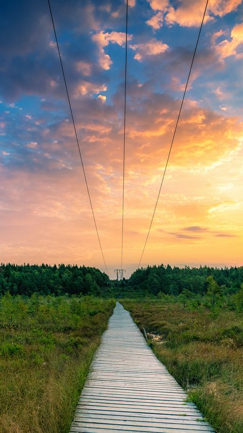 Download wallpaper 2160x3840 road, field, forest, clouds, sunset, nature samsung galaxy s4, s5, note, sony xperia z, z1, z2, z3, htc one, lenovo vibe hd background