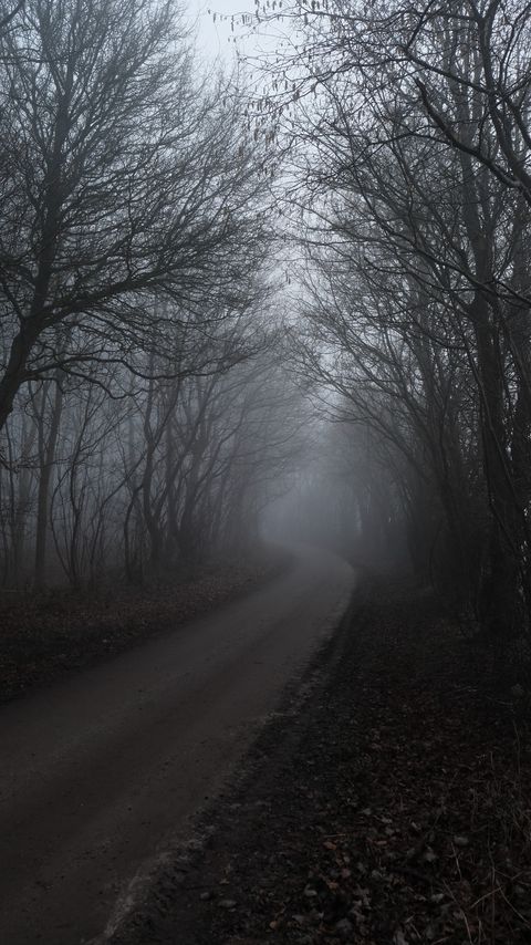 Download wallpaper 2160x3840 road, fog, trees, forest, nature samsung galaxy s4, s5, note, sony xperia z, z1, z2, z3, htc one, lenovo vibe hd background