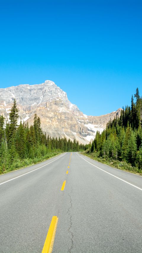 Download wallpaper 2160x3840 road, mountain, trees, nature samsung galaxy s4, s5, note, sony xperia z, z1, z2, z3, htc one, lenovo vibe hd background