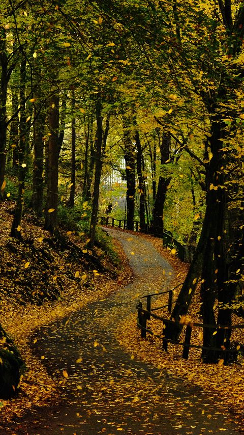 Download wallpaper 2160x3840 road, trees, leaves, autumn samsung galaxy s4, s5, note, sony xperia z, z1, z2, z3, htc one, lenovo vibe hd background