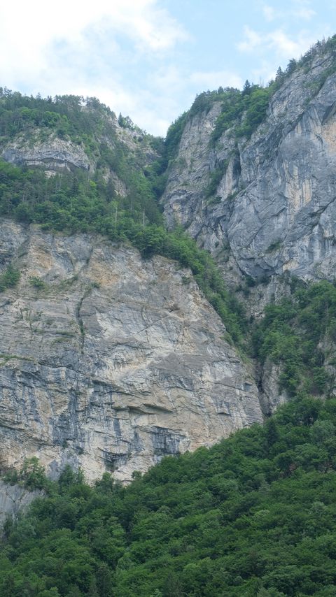 Download wallpaper 2160x3840 rock, relief, trees samsung galaxy s4, s5, note, sony xperia z, z1, z2, z3, htc one, lenovo vibe hd background