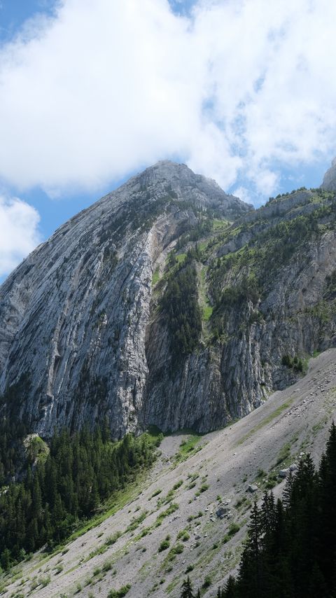 Download wallpaper 2160x3840 rock, slope, trees, landscape samsung galaxy s4, s5, note, sony xperia z, z1, z2, z3, htc one, lenovo vibe hd background