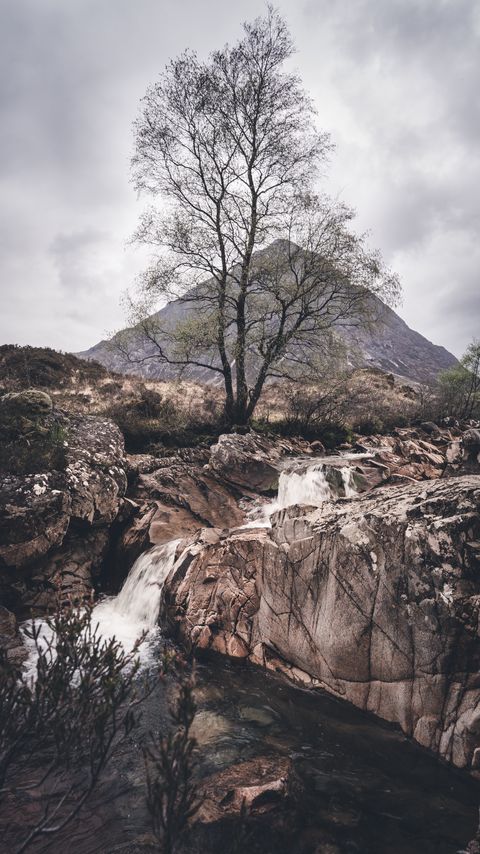 Download wallpaper 2160x3840 rock, stream, tree, mountain samsung galaxy s4, s5, note, sony xperia z, z1, z2, z3, htc one, lenovo vibe hd background