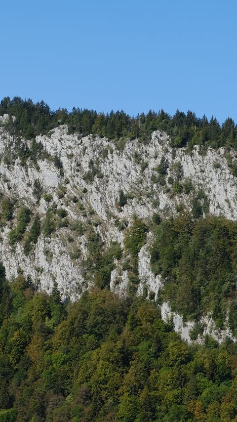 Download wallpaper 2160x3840 rock, trees, relief samsung galaxy s4, s5, note, sony xperia z, z1, z2, z3, htc one, lenovo vibe hd background