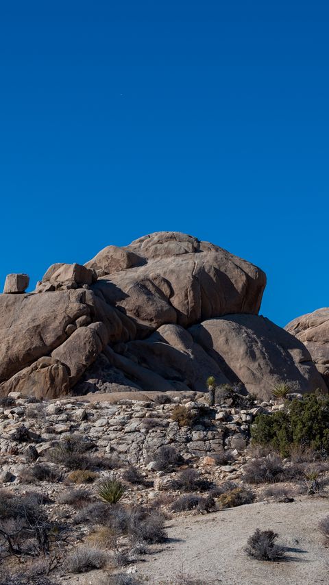 Download wallpaper 2160x3840 rocks, stones, bushes, nature samsung galaxy s4, s5, note, sony xperia z, z1, z2, z3, htc one, lenovo vibe hd background
