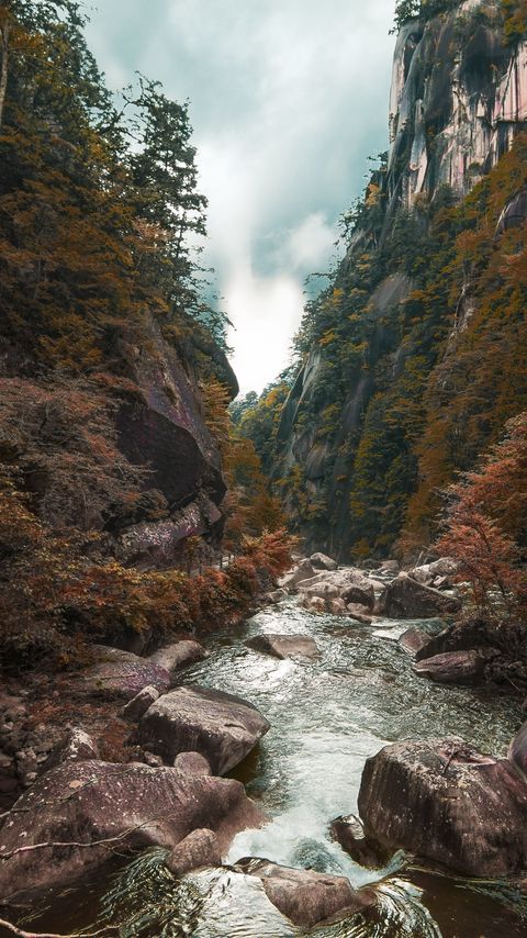 Download wallpaper 2160x3840 rocks, stones, stream, trees samsung galaxy s4, s5, note, sony xperia z, z1, z2, z3, htc one, lenovo vibe hd background