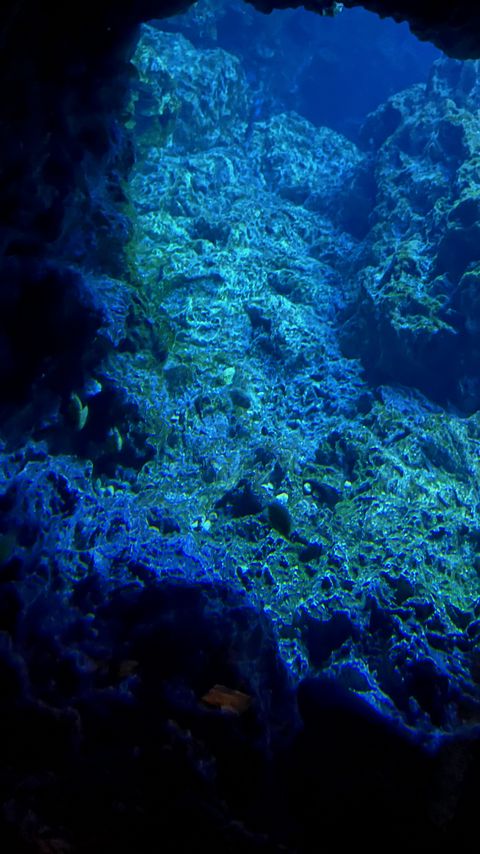 Download wallpaper 2160x3840 rocks, underwater world, water, sea, blue samsung galaxy s4, s5, note, sony xperia z, z1, z2, z3, htc one, lenovo vibe hd background