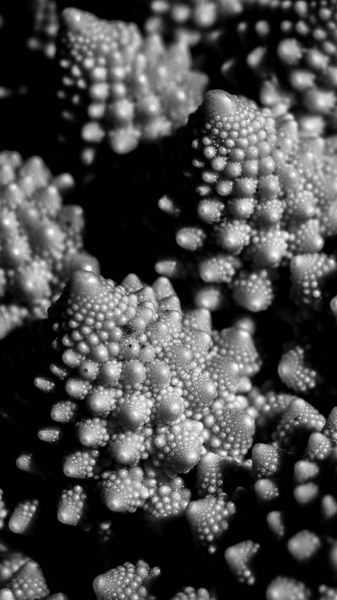 Download wallpaper 2160x3840 romanesco cabbage, fractal, macro, black and white samsung galaxy s4, s5, note, sony xperia z, z1, z2, z3, htc one, lenovo vibe hd background