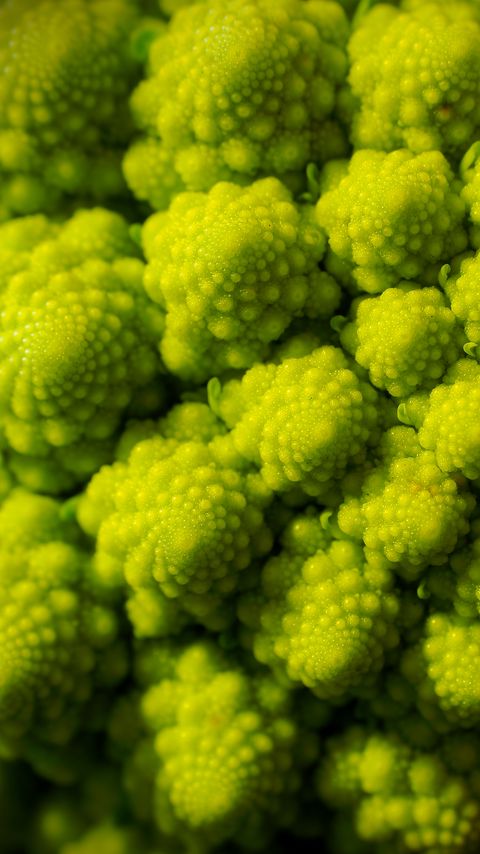 Download wallpaper 2160x3840 romanesco, fractal, spirals, green samsung galaxy s4, s5, note, sony xperia z, z1, z2, z3, htc one, lenovo vibe hd background
