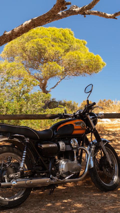 Download wallpaper 2160x3840 royal enfield, motorcycle, orange, tree, shadows samsung galaxy s4, s5, note, sony xperia z, z1, z2, z3, htc one, lenovo vibe hd background