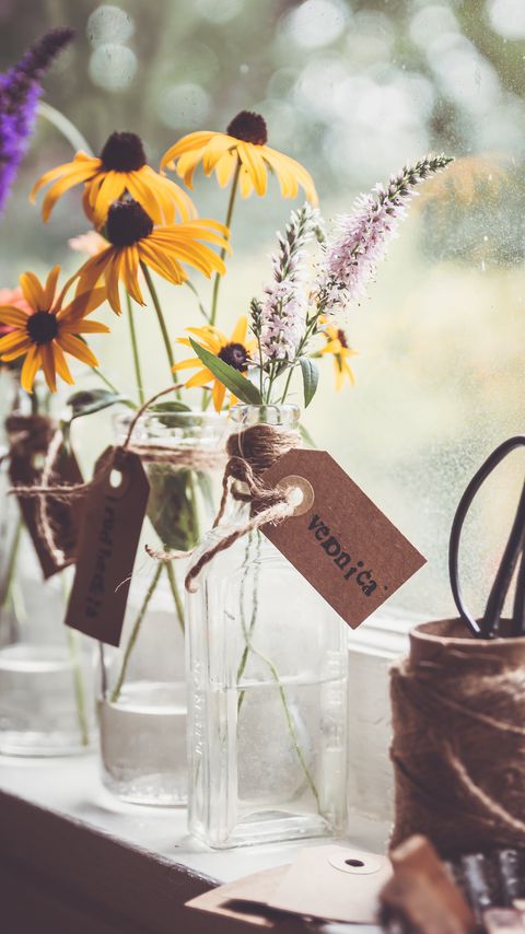 Download wallpaper 2160x3840 rudbeckia, flowers, petals, vase, aesthetics samsung galaxy s4, s5, note, sony xperia z, z1, z2, z3, htc one, lenovo vibe hd background