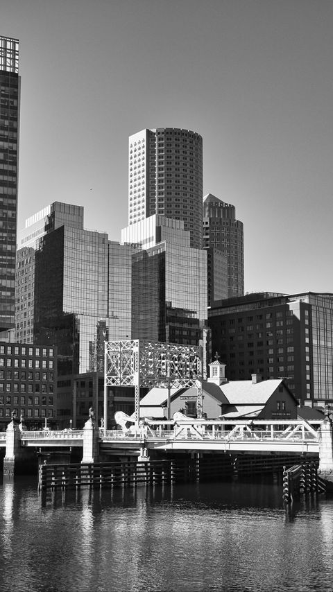 Download wallpaper 2160x3840 skyscrapers, buildings, bridge, river, city, black and white samsung galaxy s4, s5, note, sony xperia z, z1, z2, z3, htc one, lenovo vibe hd background