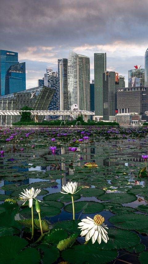 Download wallpaper 2160x3840 skyscrapers, buildings, pond, flowers, city samsung galaxy s4, s5, note, sony xperia z, z1, z2, z3, htc one, lenovo vibe hd background