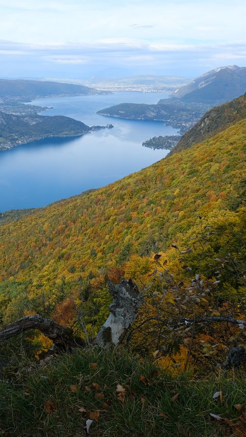 Download wallpaper 2160x3840 slope, hills, trees, lake samsung galaxy s4, s5, note, sony xperia z, z1, z2, z3, htc one, lenovo vibe hd background