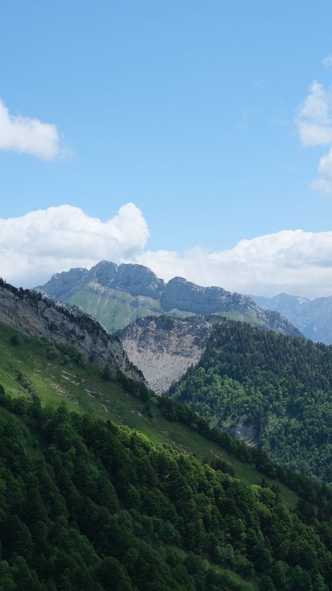 Download wallpaper 2160x3840 slope, mountains, trees, grass samsung galaxy s4, s5, note, sony xperia z, z1, z2, z3, htc one, lenovo vibe hd background