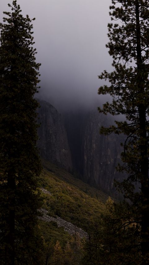 Download wallpaper 2160x3840 slope, trees, rocks, fog, nature samsung galaxy s4, s5, note, sony xperia z, z1, z2, z3, htc one, lenovo vibe hd background