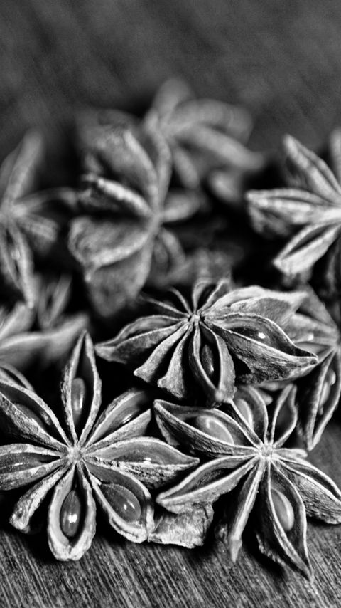 Download wallpaper 2160x3840 star anise, spices, macro, black and white samsung galaxy s4, s5, note, sony xperia z, z1, z2, z3, htc one, lenovo vibe hd background