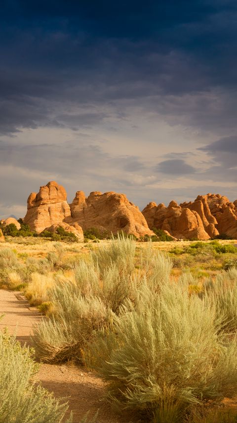 Download wallpaper 2160x3840 stones, grass, nature, path samsung galaxy s4, s5, note, sony xperia z, z1, z2, z3, htc one, lenovo vibe hd background