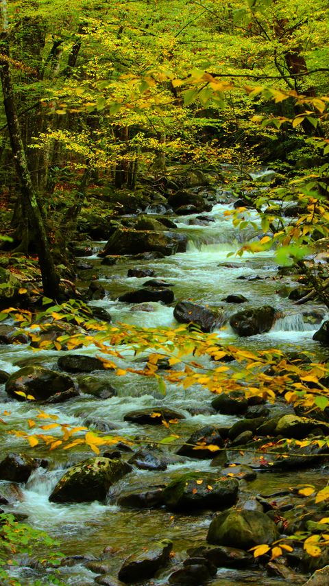Download wallpaper 2160x3840 stones, stream, branches samsung galaxy s4, s5, note, sony xperia z, z1, z2, z3, htc one, lenovo vibe hd background