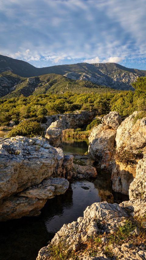 Download wallpaper 2160x3840 stones, stream, mountains, bushes, nature samsung galaxy s4, s5, note, sony xperia z, z1, z2, z3, htc one, lenovo vibe hd background