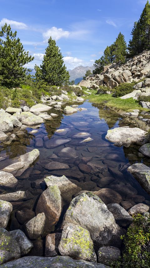 Download wallpaper 2160x3840 stones, stream, trees samsung galaxy s4, s5, note, sony xperia z, z1, z2, z3, htc one, lenovo vibe hd background