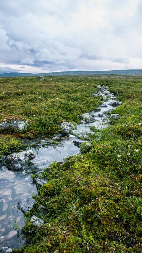 Download wallpaper 2160x3840 stream, stones, water, field, grass, nature samsung galaxy s4, s5, note, sony xperia z, z1, z2, z3, htc one, lenovo vibe hd background