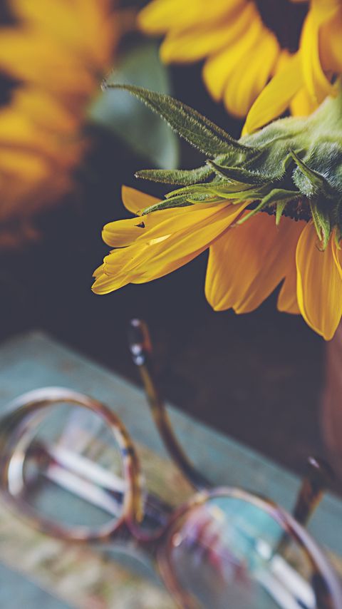Download wallpaper 2160x3840 sunflower, flower, glasses, blur samsung galaxy s4, s5, note, sony xperia z, z1, z2, z3, htc one, lenovo vibe hd background