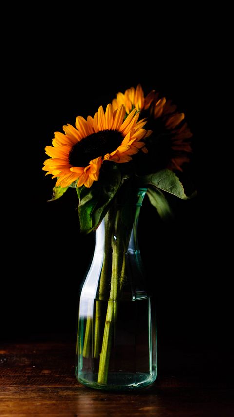 Download wallpaper 2160x3840 sunflowers, flowers, petals, vase samsung galaxy s4, s5, note, sony xperia z, z1, z2, z3, htc one, lenovo vibe hd background