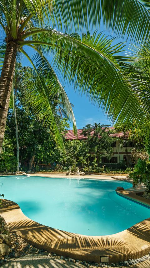Download wallpaper 2160x3840 swimming pool, palm trees, tropics, nature samsung galaxy s4, s5, note, sony xperia z, z1, z2, z3, htc one, lenovo vibe hd background
