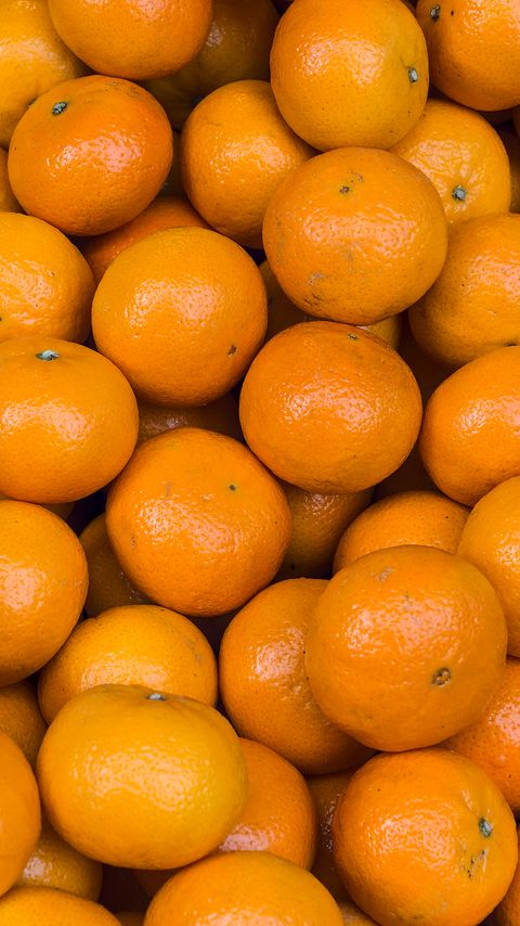 Download wallpaper 2160x3840 tangerines, orange, citrus samsung galaxy s4, s5, note, sony xperia z, z1, z2, z3, htc one, lenovo vibe hd background