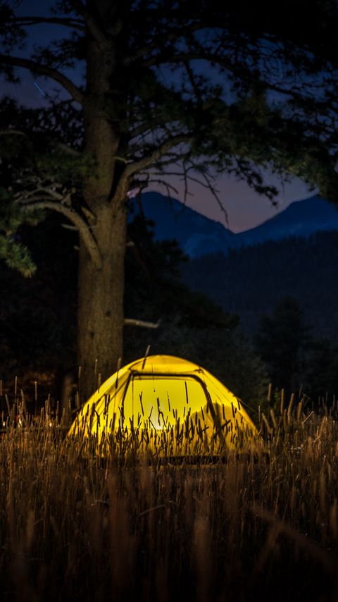 Download wallpaper 2160x3840 tent, light, trees, grass samsung galaxy s4, s5, note, sony xperia z, z1, z2, z3, htc one, lenovo vibe hd background