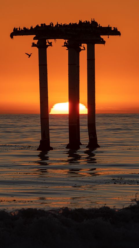 Download wallpaper 2160x3840 torii, sunset, sea, sun, birds samsung galaxy s4, s5, note, sony xperia z, z1, z2, z3, htc one, lenovo vibe hd background