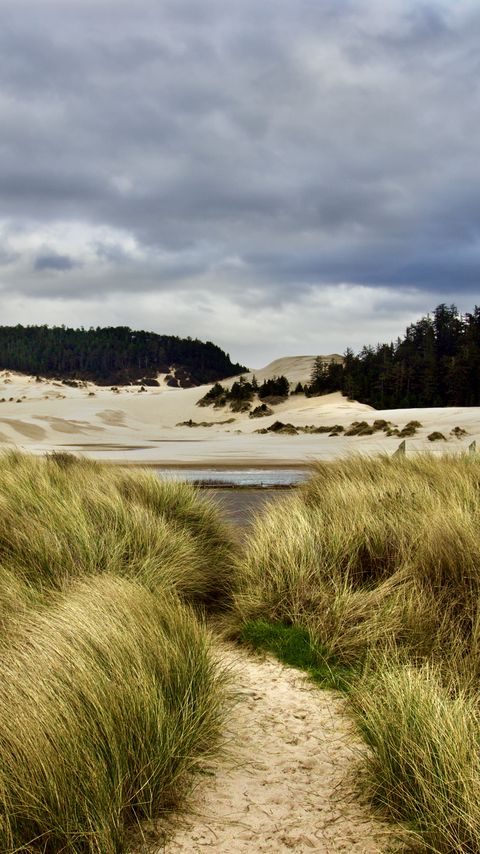 Download wallpaper 2160x3840 trail, grass, shore, trees samsung galaxy s4, s5, note, sony xperia z, z1, z2, z3, htc one, lenovo vibe hd background