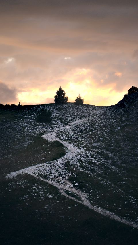 Download wallpaper 2160x3840 trail, slope, bushes, twilight, nature samsung galaxy s4, s5, note, sony xperia z, z1, z2, z3, htc one, lenovo vibe hd background