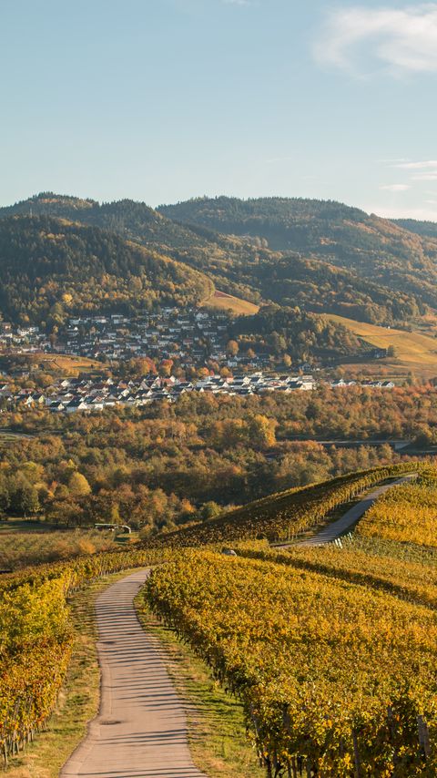 Download wallpaper 2160x3840 trail, trees, houses, slope samsung galaxy s4, s5, note, sony xperia z, z1, z2, z3, htc one, lenovo vibe hd background
